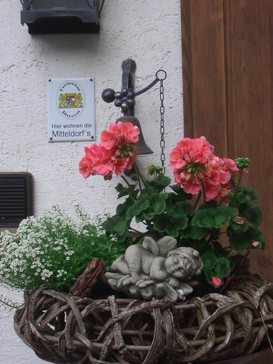 Mitteldorf Lejlighed *